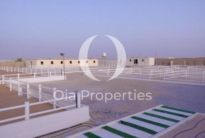 16112983 - Property Image 2