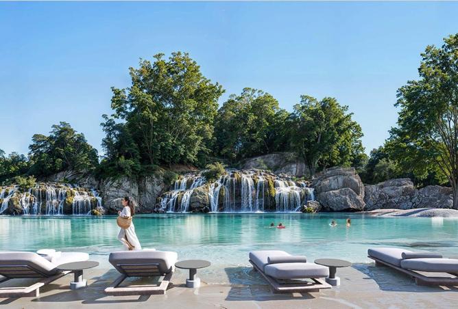 16265848 - Property Image 3