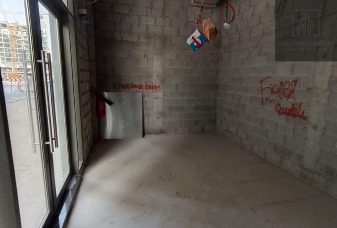 115492384 - Property Image 3