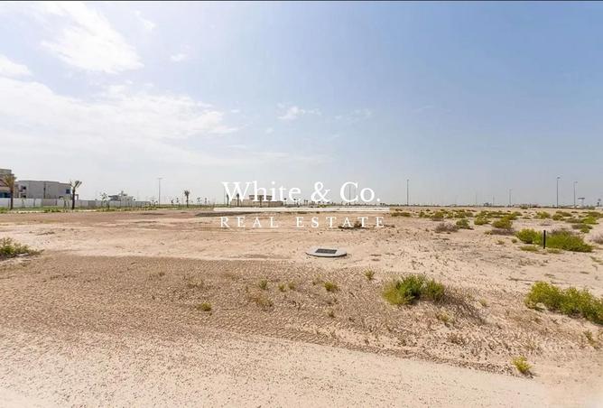 16279426 - Property Image 2