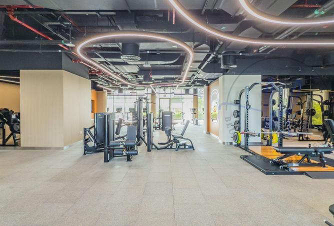 16182219 - Property Image 2