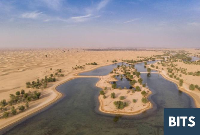 64410571 - صورة العقار 2