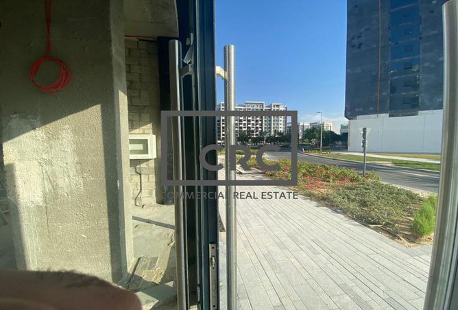 117250437 - Property Image 3