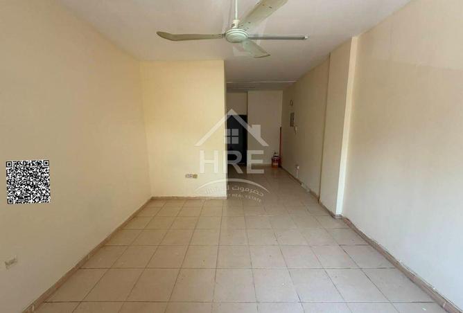 116357654 - Property Image 3