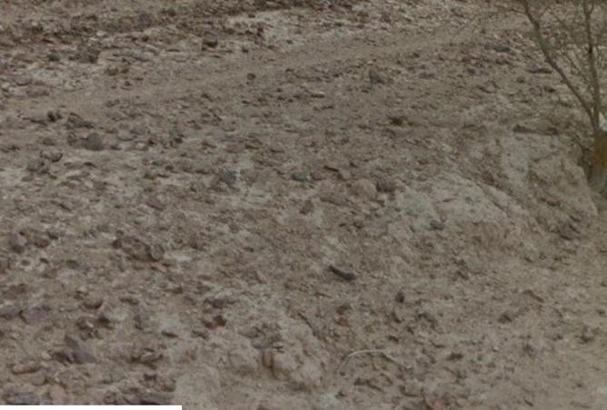 63645775 - Property Image 3