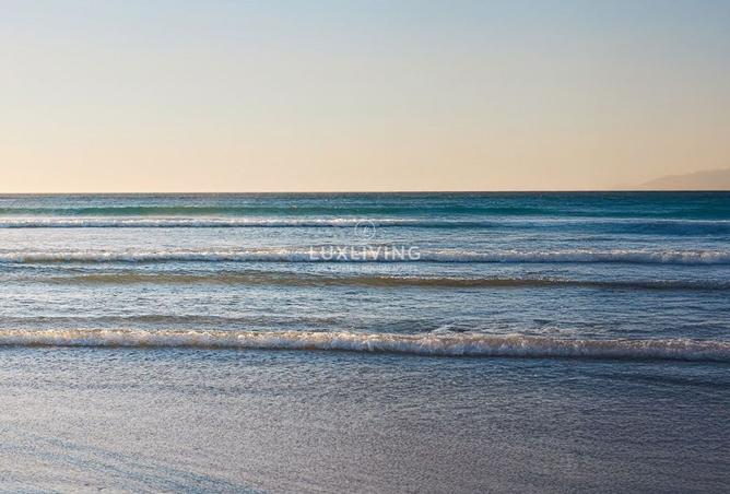 129750957 - Property Image 3