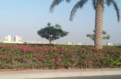 Land - Studio for sale in Jebel Ali Hills - Saih Shuaib 1 - Jebel Ali - Dubai Land - Studio for sale in Jebel Ali Hills - Saih Shuaib 1 - Jebel Ali - Dubai
