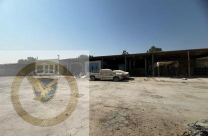 مستودع - استوديو - 3 حمامات للايجار في المنطقة الصناعية رقم 5 - المنطقة الصناعية بالشارقة - الشارقة مستودع - استوديو - 3 حمامات للايجار في المنطقة الصناعية رقم 5 - المنطقة الصناعية بالشارقة - الشارقة