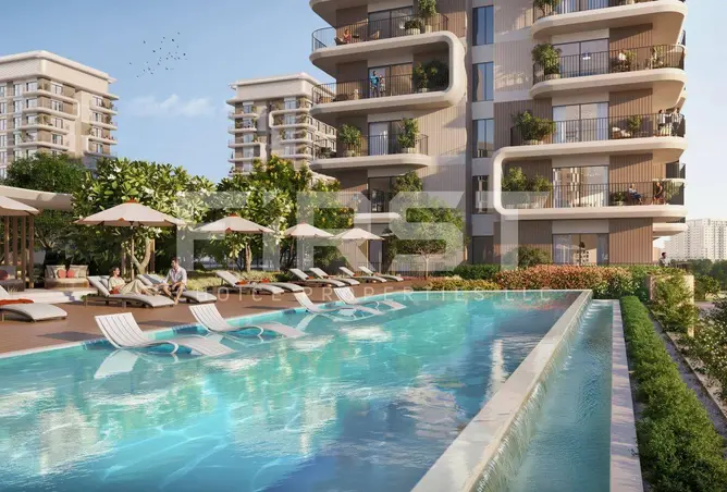165588437 - Property Image 3