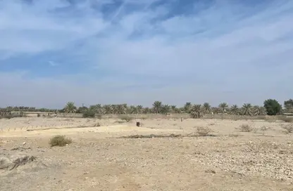 أرض - استوديو للايجار في المدفق - رأس الخيمة