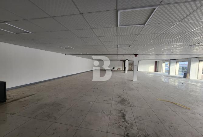 141910440 - Property Image 3