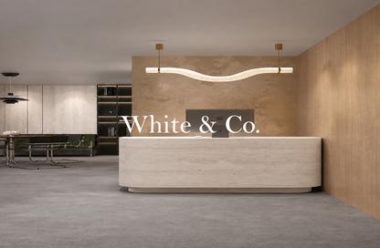 Office Space - Studio for sale in HDS Tower - JLT Cluster F - Jumeirah Lake Towers - Dubai