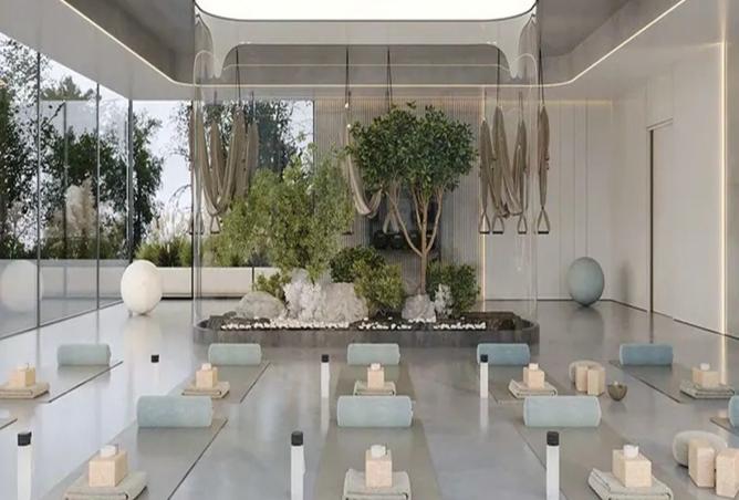 15995415 - Property Image 3