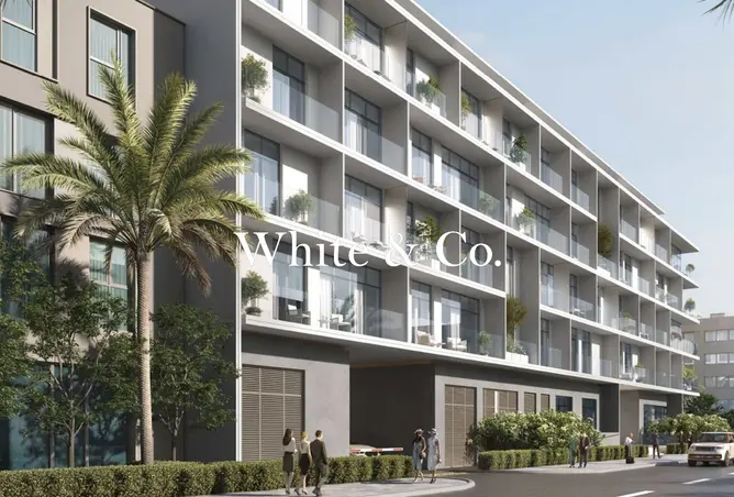 146442774 - Property Image 2