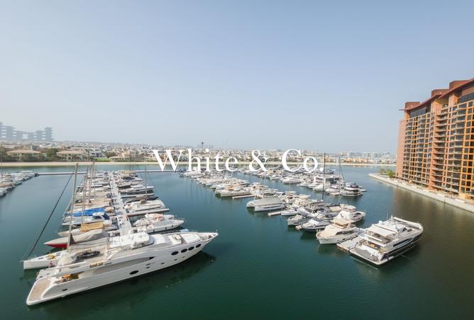 138766598 - Property Image 3