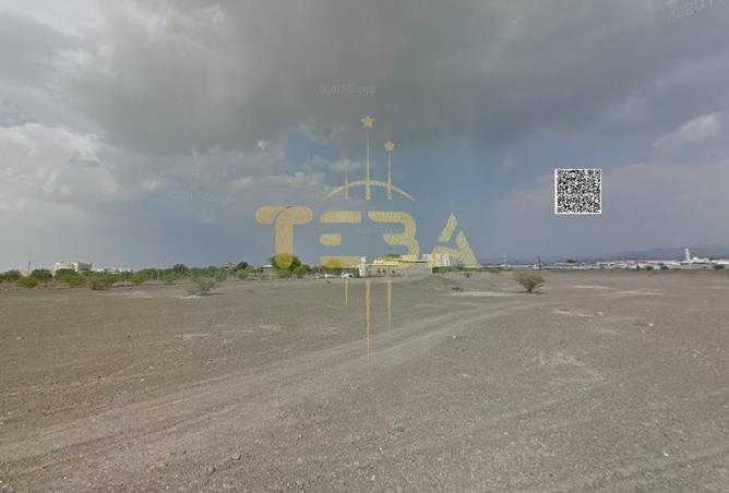 135184039 - Property Image 3