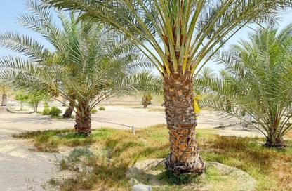 Farm - Studio for sale in Al Bahya - Abu Dhabi