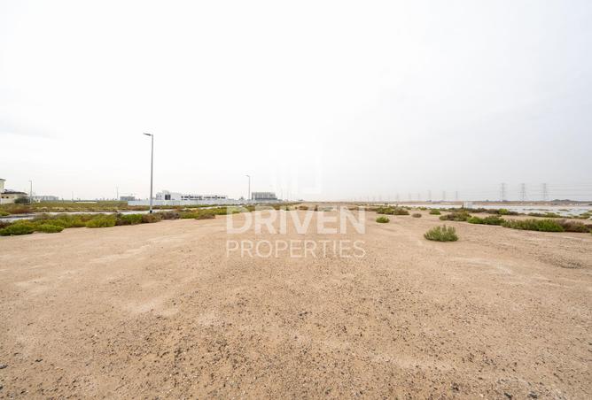 71520975 - صورة العقار 2