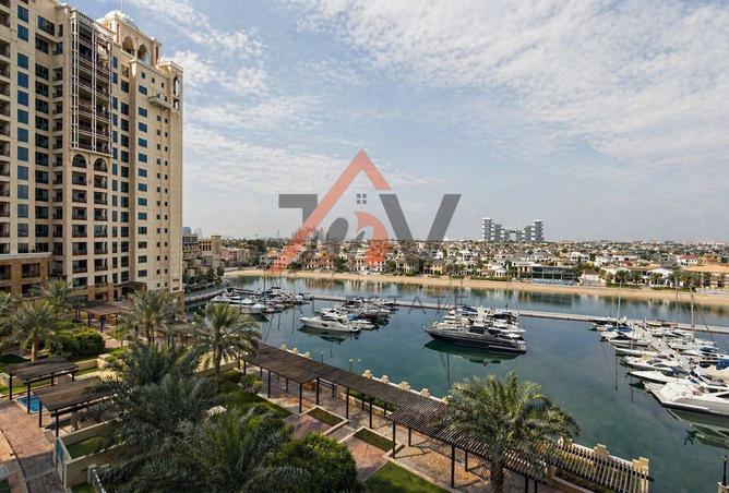 81110472 - صورة العقار 2