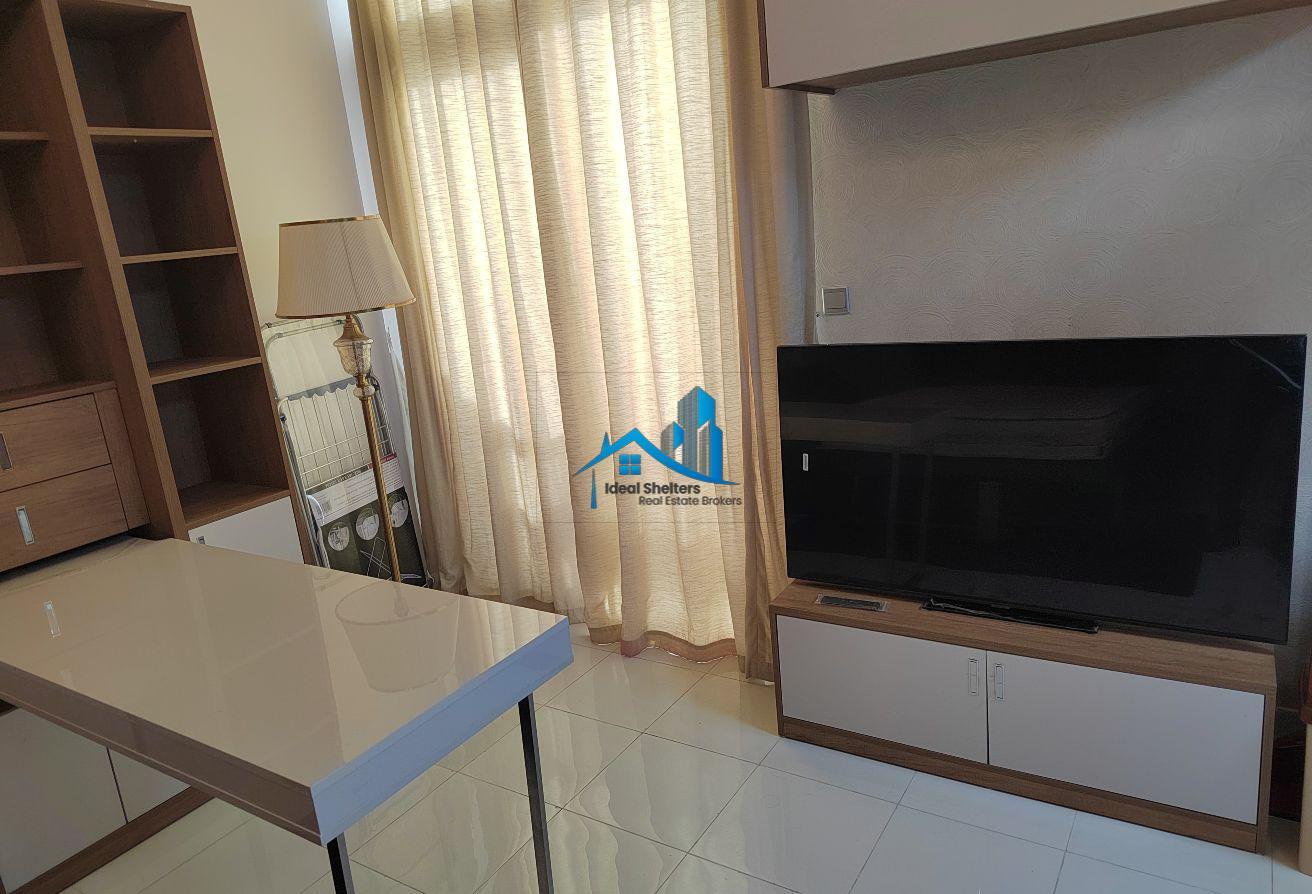 12 cheques Fully Furnished Near Metro photo 4