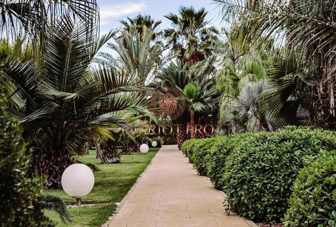 69091676 - صورة العقار 2