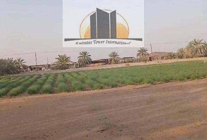 71523290 - Property Image 3