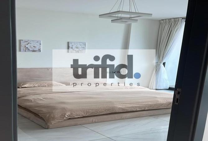 53575191 - Property Image 3