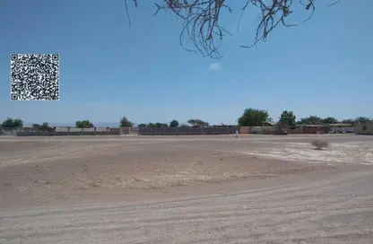 أرض - استوديو للبيع في المنامة - عجمان أرض - استوديو للبيع في المنامة - عجمان