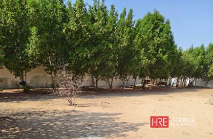Land - Studio for sale in Mirdif - Dubai
