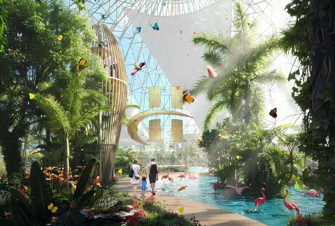 Future-Focused Investment | Island Living