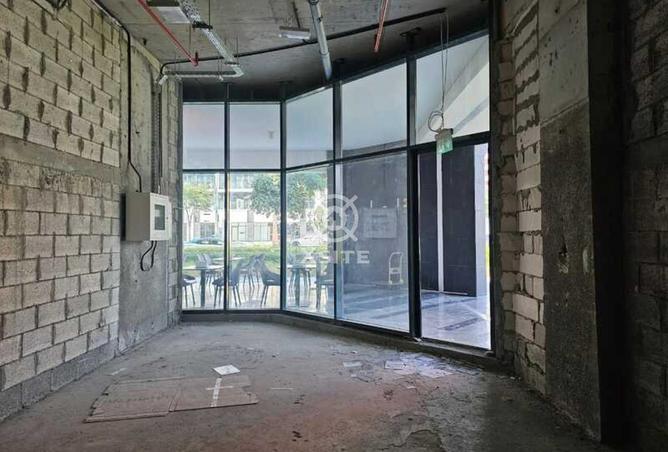 16101885 - Property Image 3