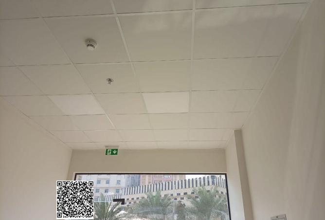 16095871 - Property Image 2