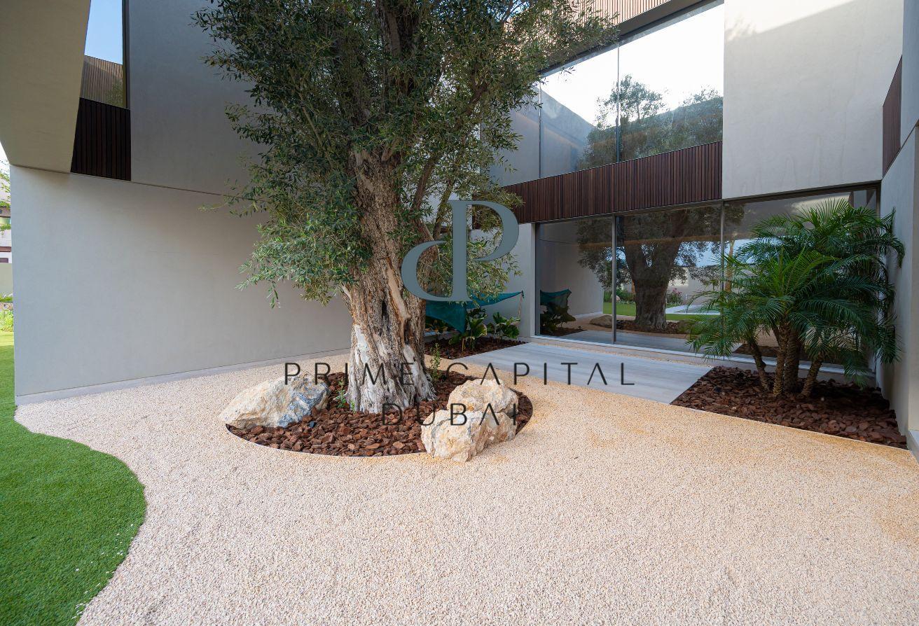 Hollywood Hills Living in the Heart of Dubai photo 7