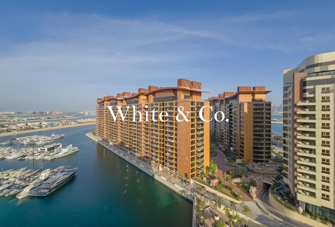 16308160 - الصورة الرئيسية للعقار