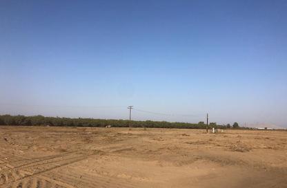Land - Studio for sale in Al Belidah - Al Bataeh - Sharjah