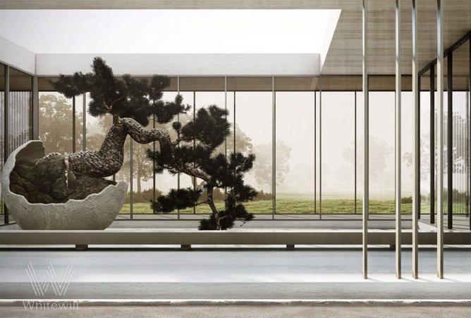 65554936 - صورة العقار 3