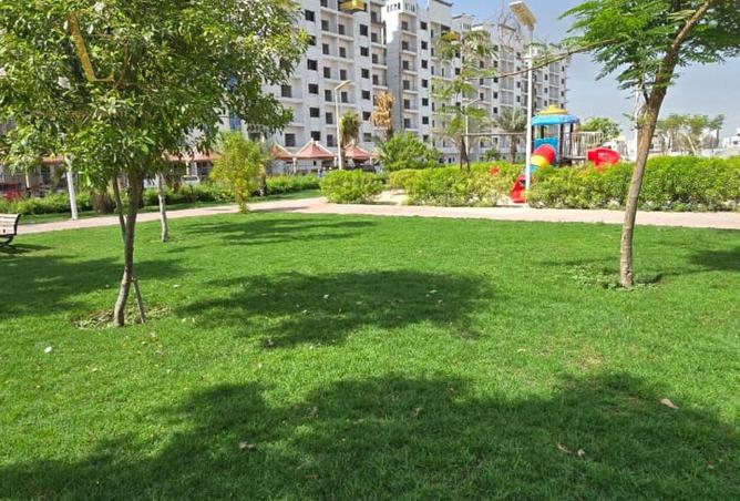 113254354 - Property Image 2