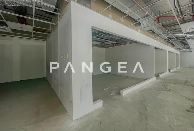 16291405 - Property Image 3