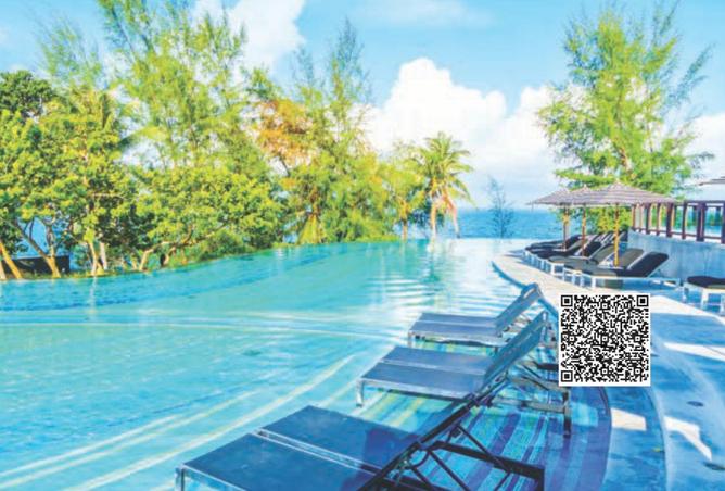 16038475 - Property Image 3