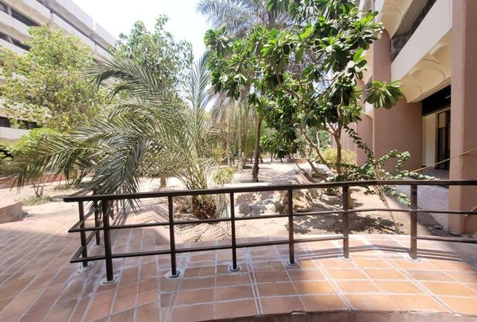141929366 - Property Image 3