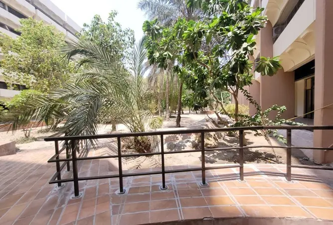 141929366 - صورة العقار 3