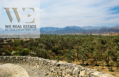 Land - Studio for sale in Manama - Ajman