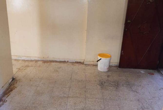 16039885 - Property Image 3