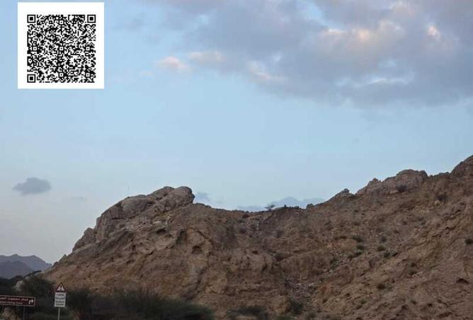 67821142 - Property Image 2