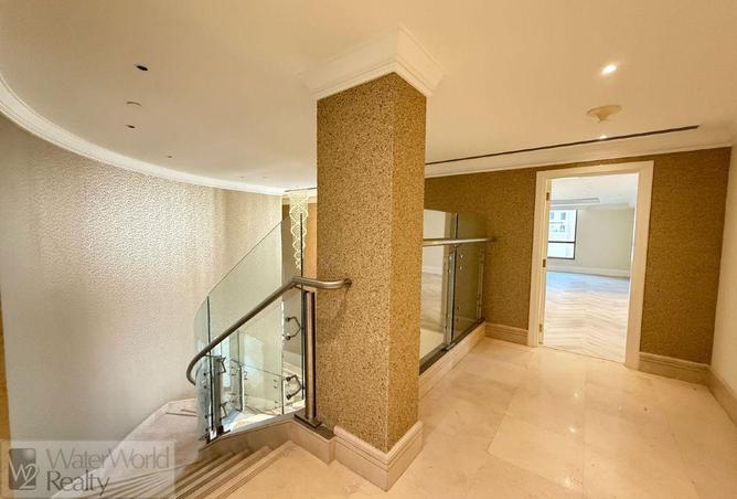 117253420 - Property Image 3