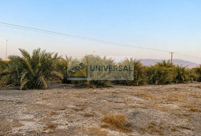120650554 - Property Main Image
