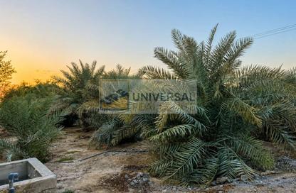 Farm - Studio for sale in Mudfak - Ras Al Khaimah