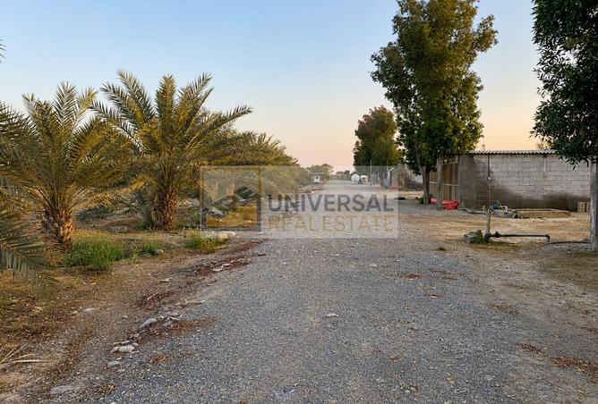 120650554 - Property Image 3