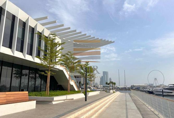 16195035 - Property Image 3