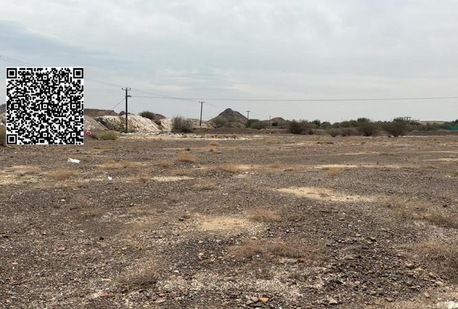 87456881 - Property Image 3